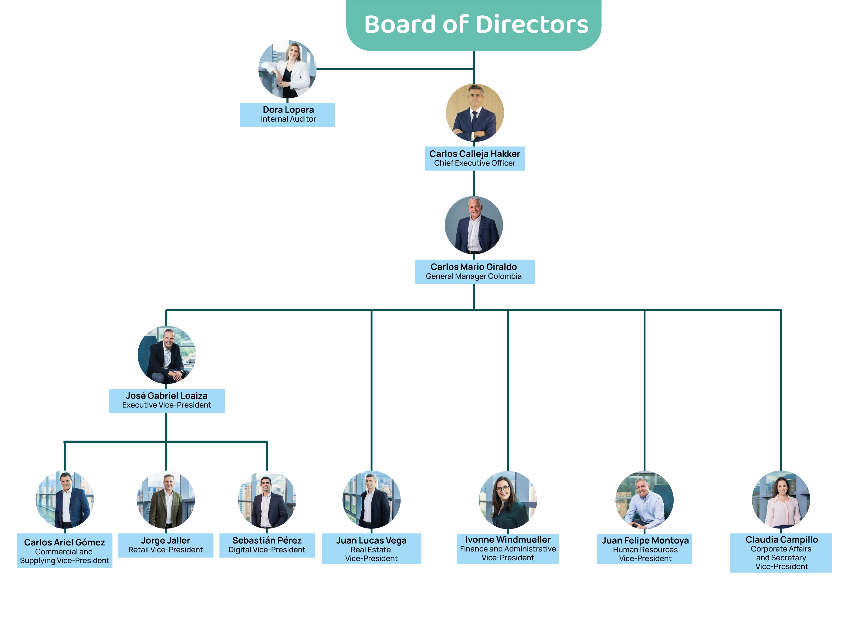 Estructura Organizacional