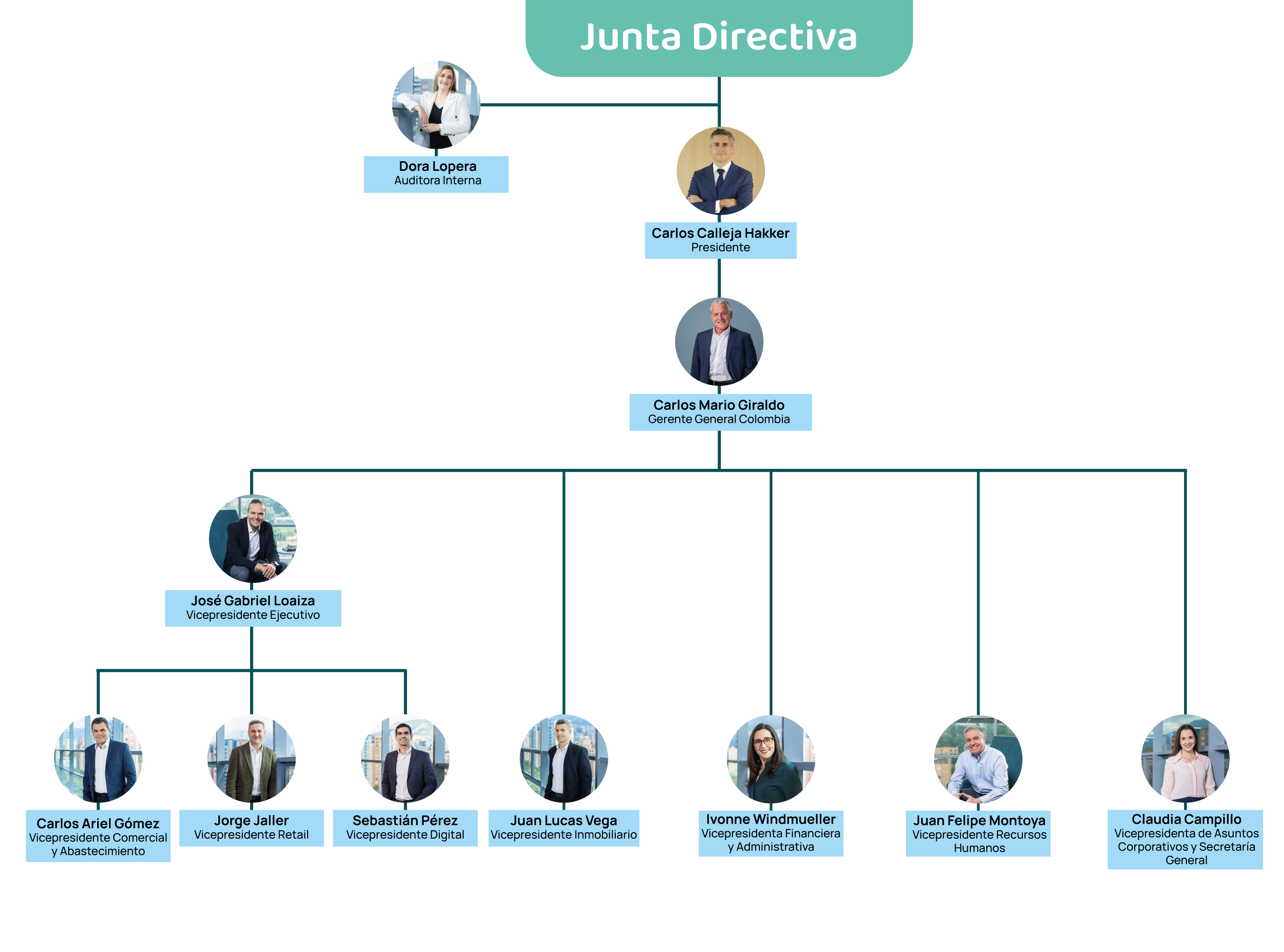 Estructura Organizacional