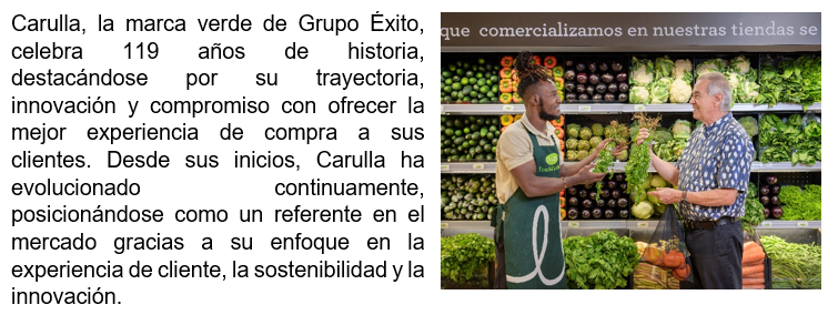 Imagen de referencia 